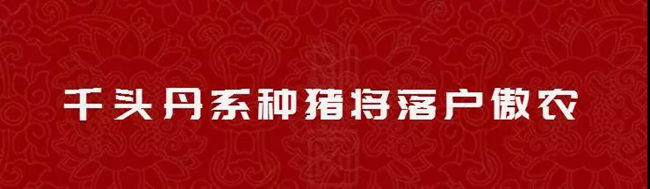 尊龙凯时 - 人生就是搏!